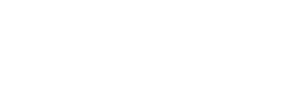 payment icon visa